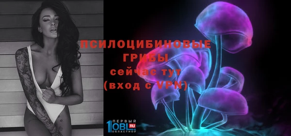 соль ск Армянск