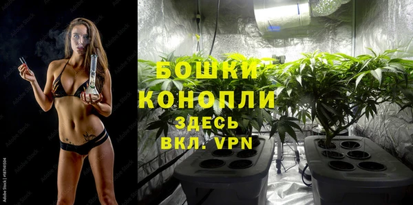 каннабис Арсеньев